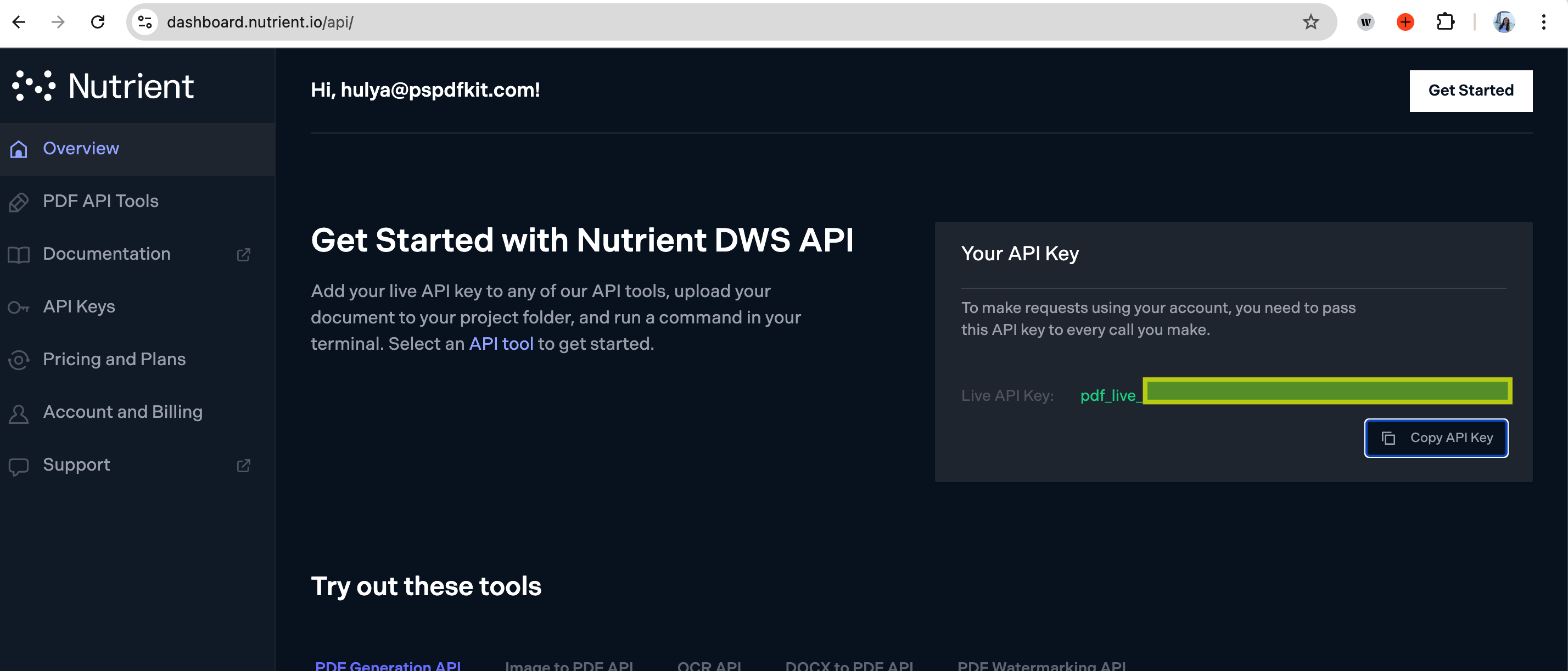 API key shown in Nutrient dashboard