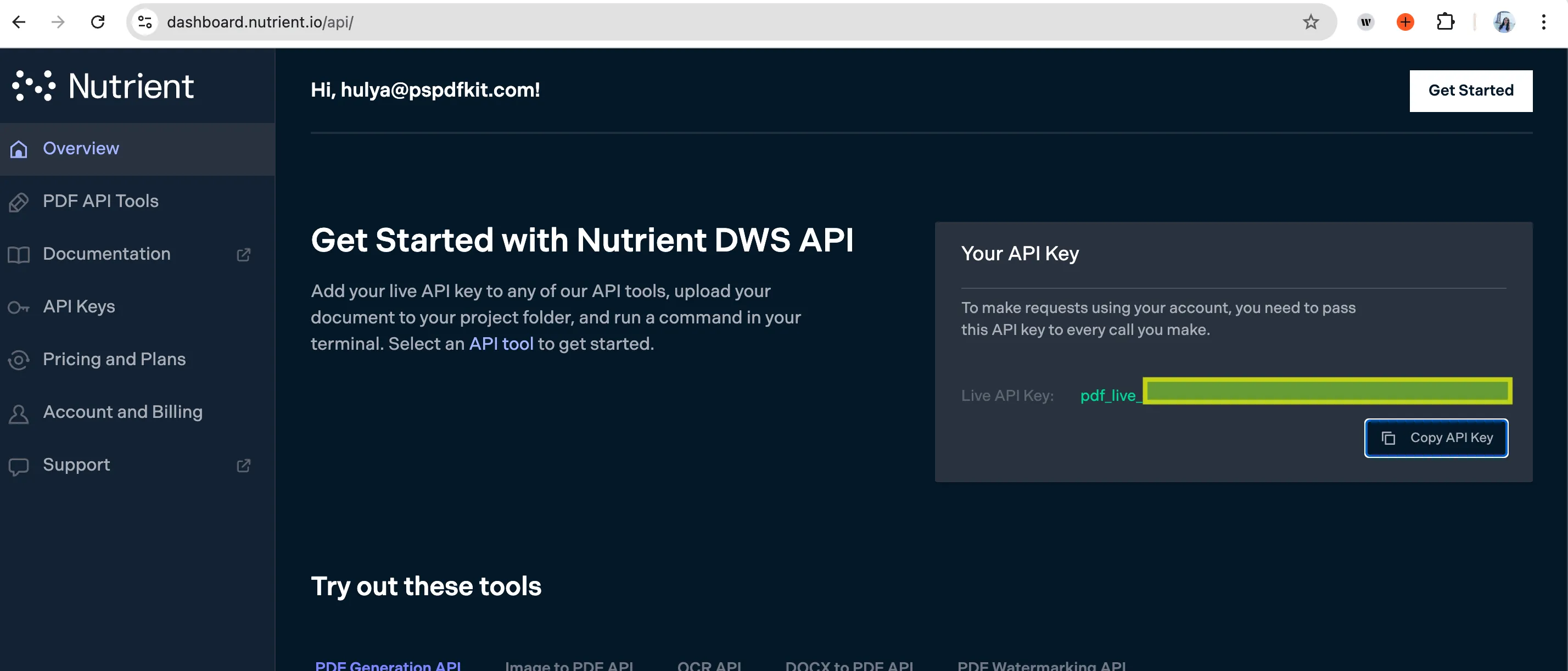 Nutrient dashboard showing API key location