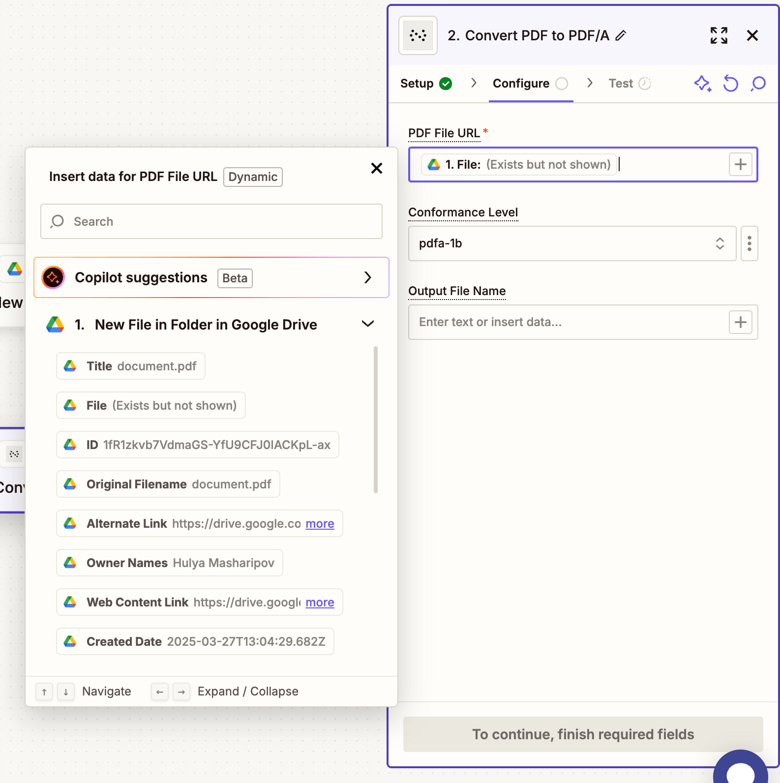 Fields configured to convert PDF to PDF/A with options