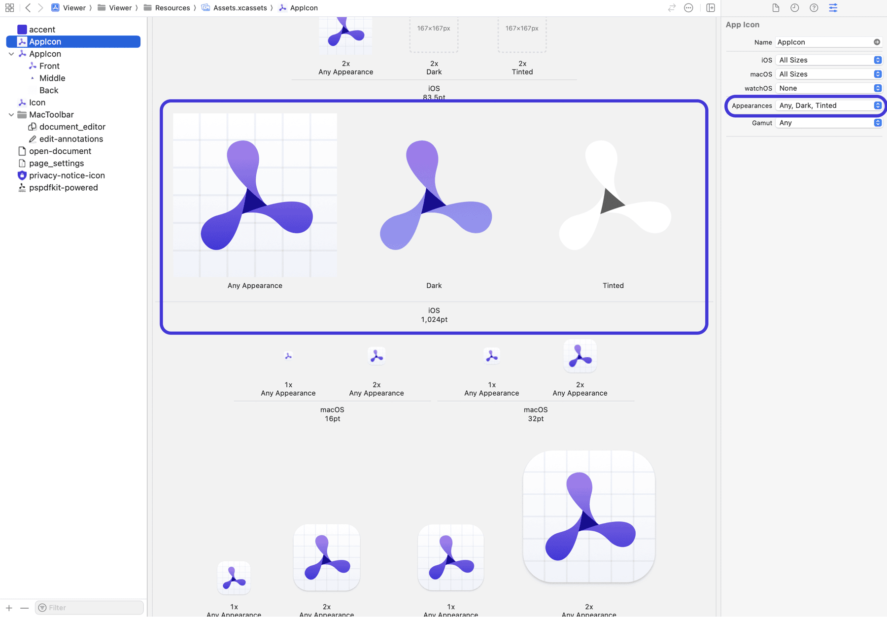 Screenshot of Xcode asset catalog with any appearance, dark and tinted images at 1024pt