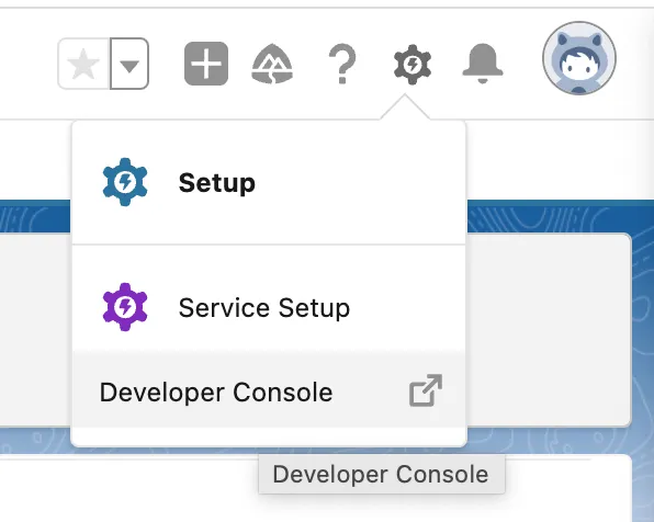 Screenshot showing the Developer Console