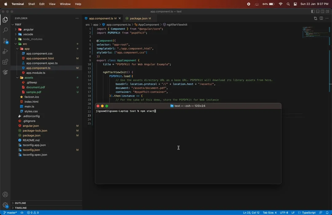 Nutrient PDF viewer displaying a document in an Angular application