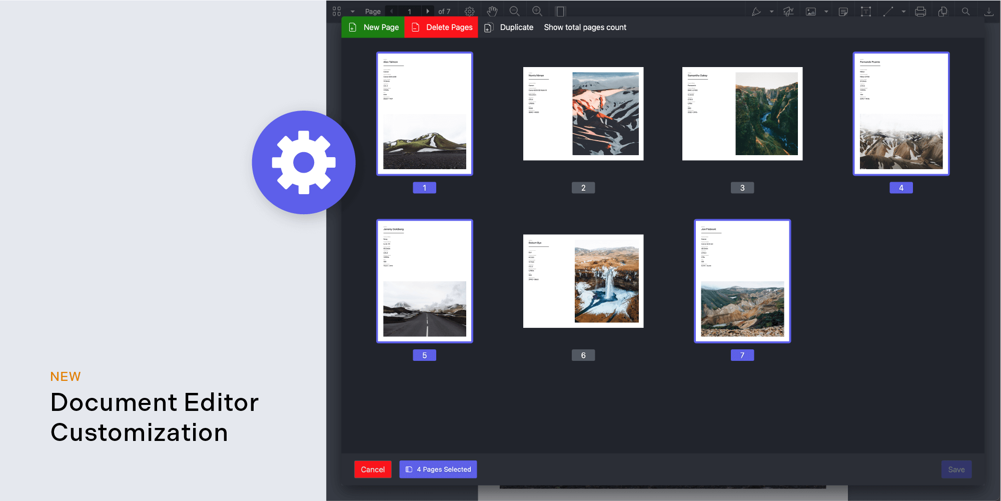 Document editor customization