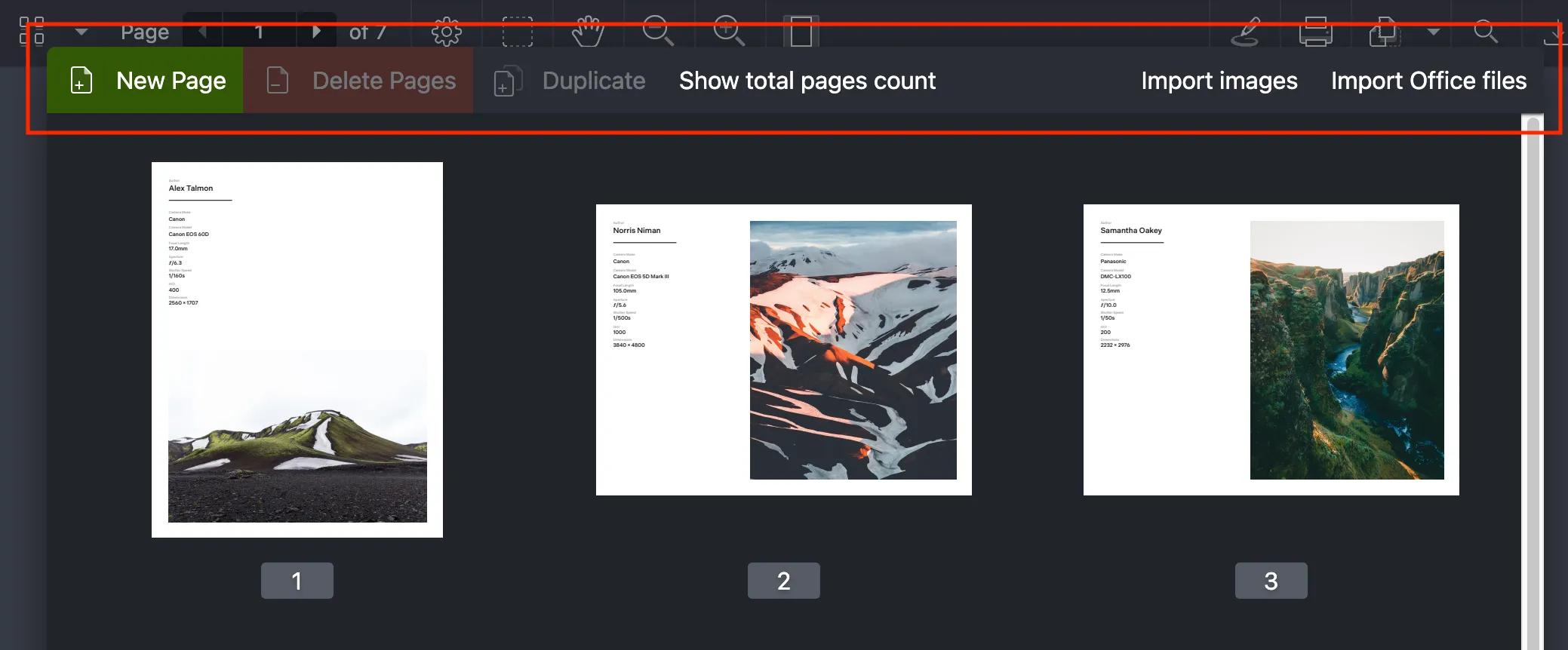 Customized document editor toolbar