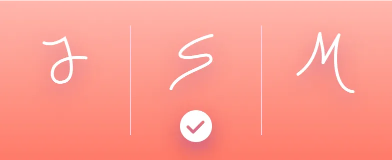 Electronic signature storage