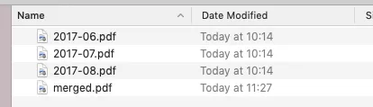 Expenses folder contents showing the new merged file