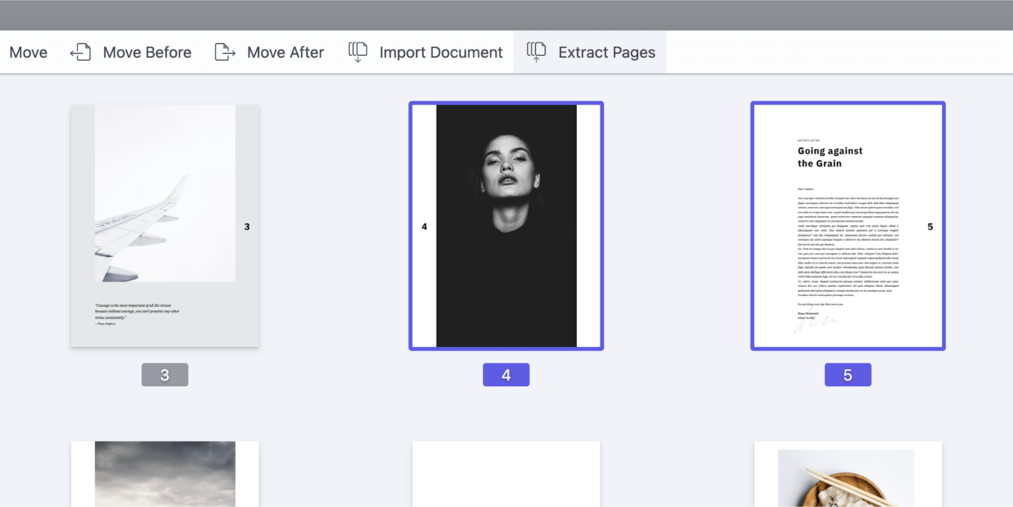 Extract Pages Tool
