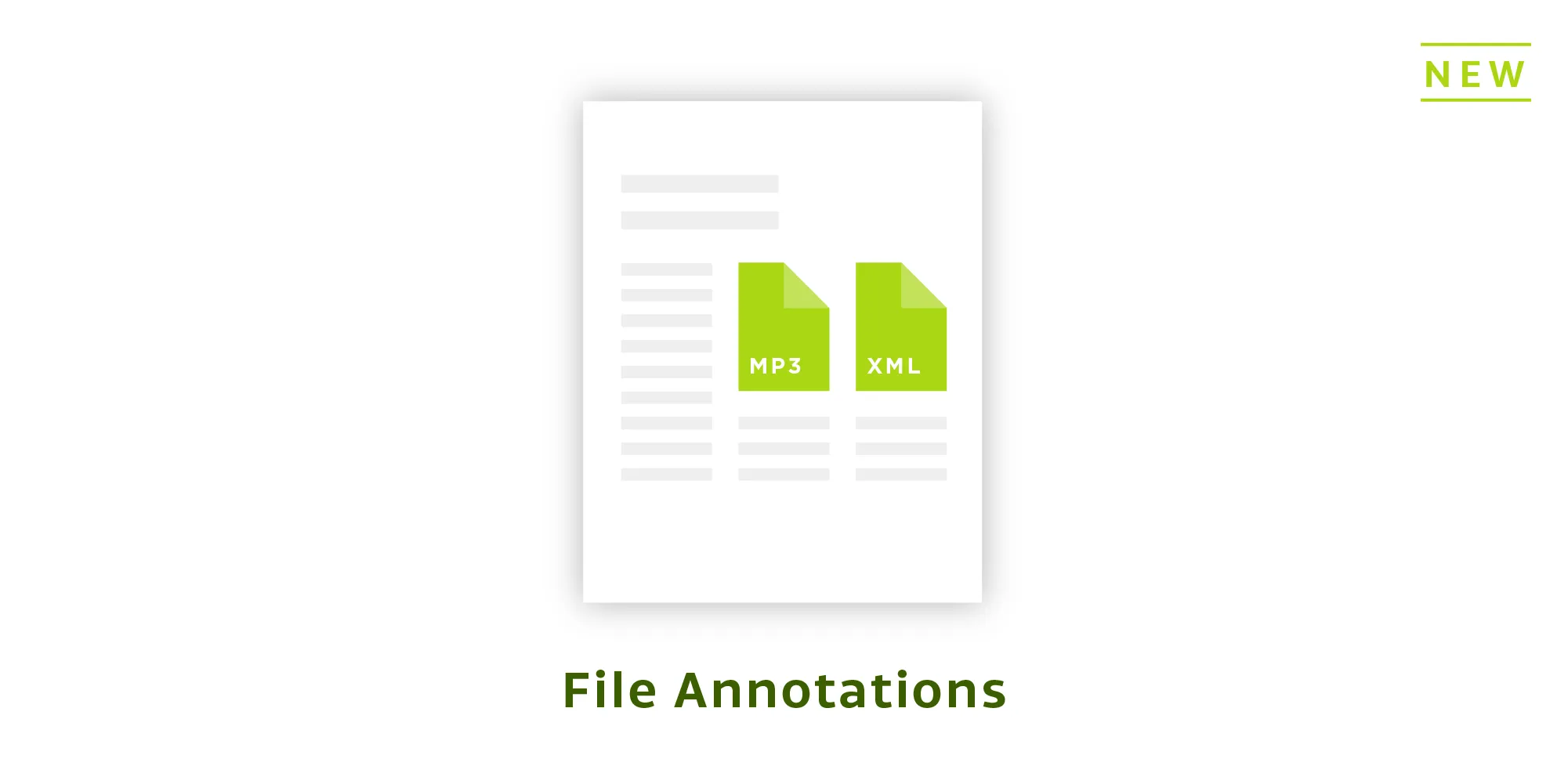 File Annotations
