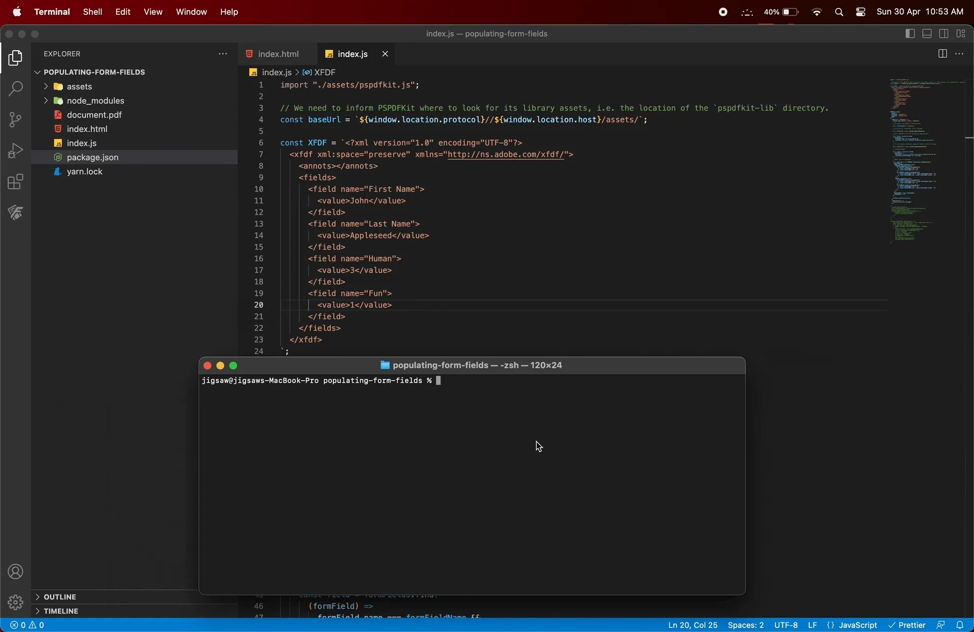 image showing the result of 'npx serve -l 8080 XFDF.'