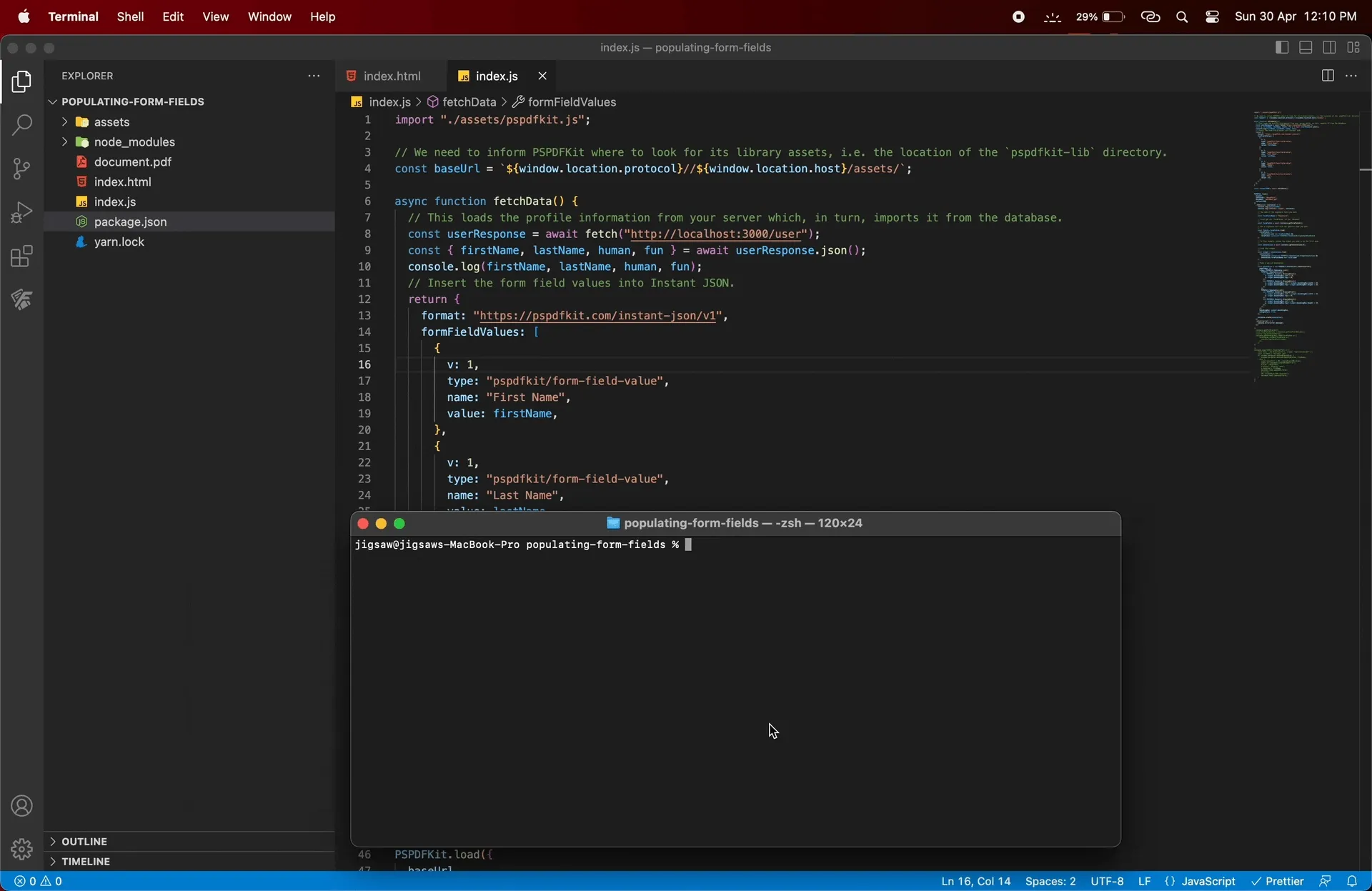 gif showing the result of 'npx serve -l 8080 filling forms database.'