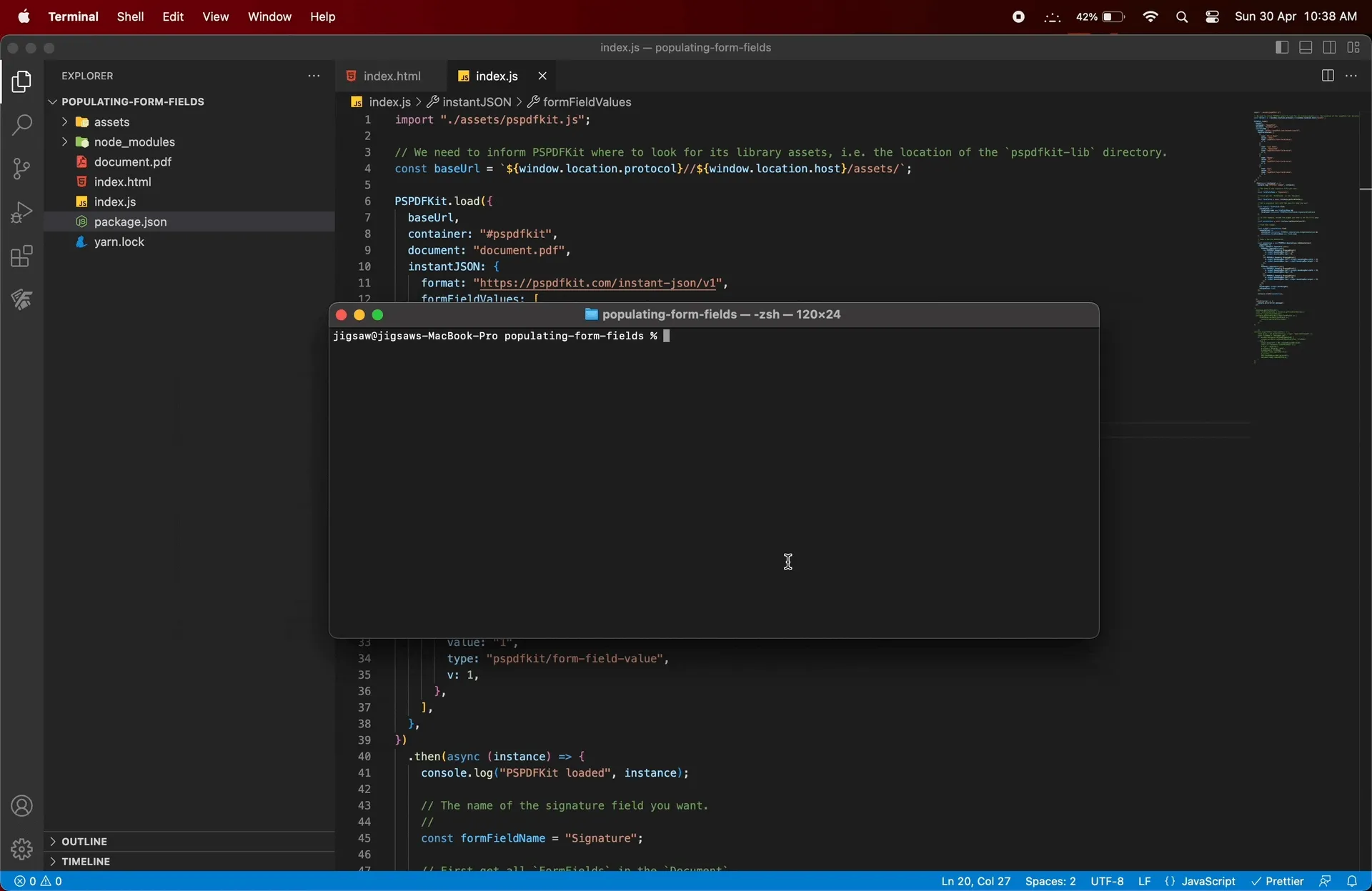 gif showing the result of 'npx serve -l 8080 JSON instance.'