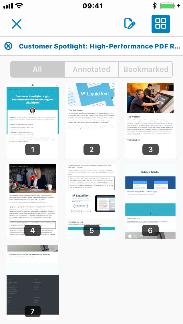 Screen shot of a PDF generated from a webpage