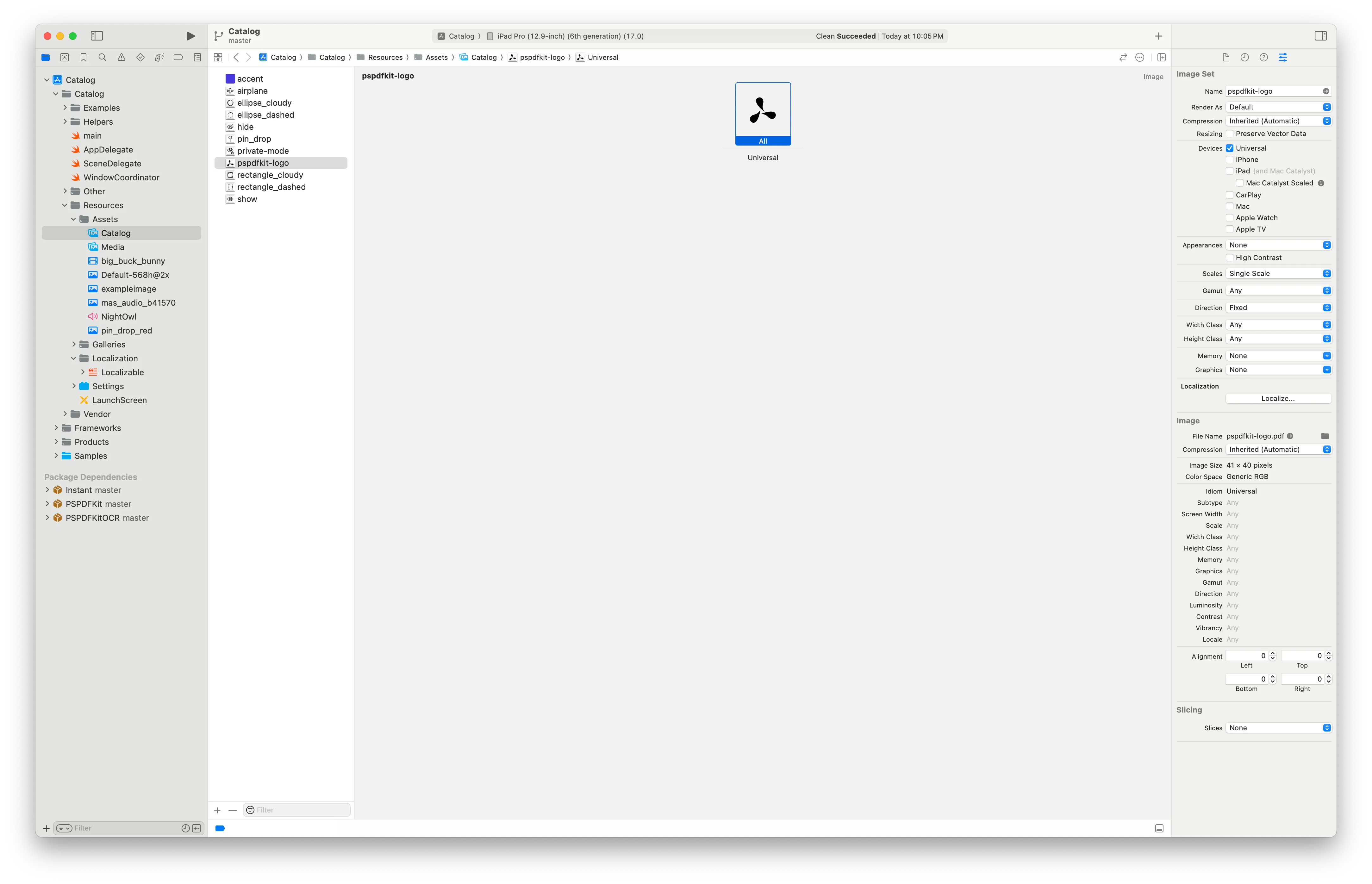 Screenshot of Xcode with the Asset Catalog opened and an image selected. Asset Catalog options for an image are visible in the panel on the right hand side