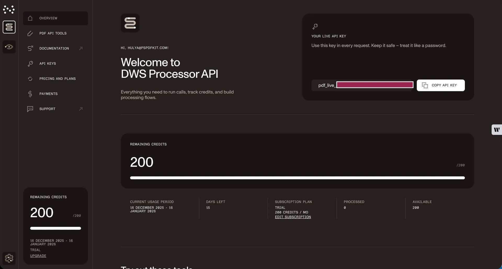Watermark PDF Python API Key