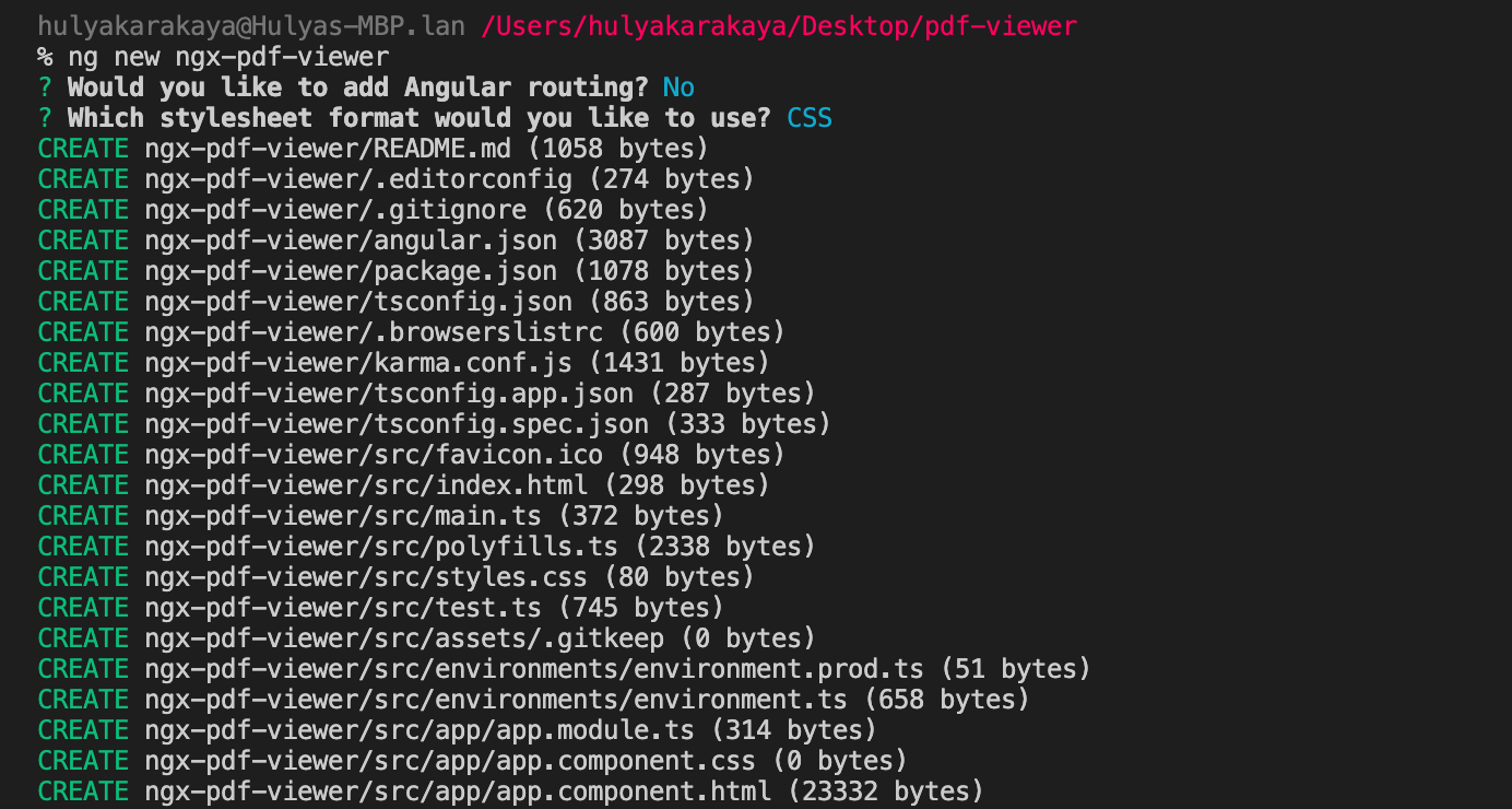 Angular Project Configuration