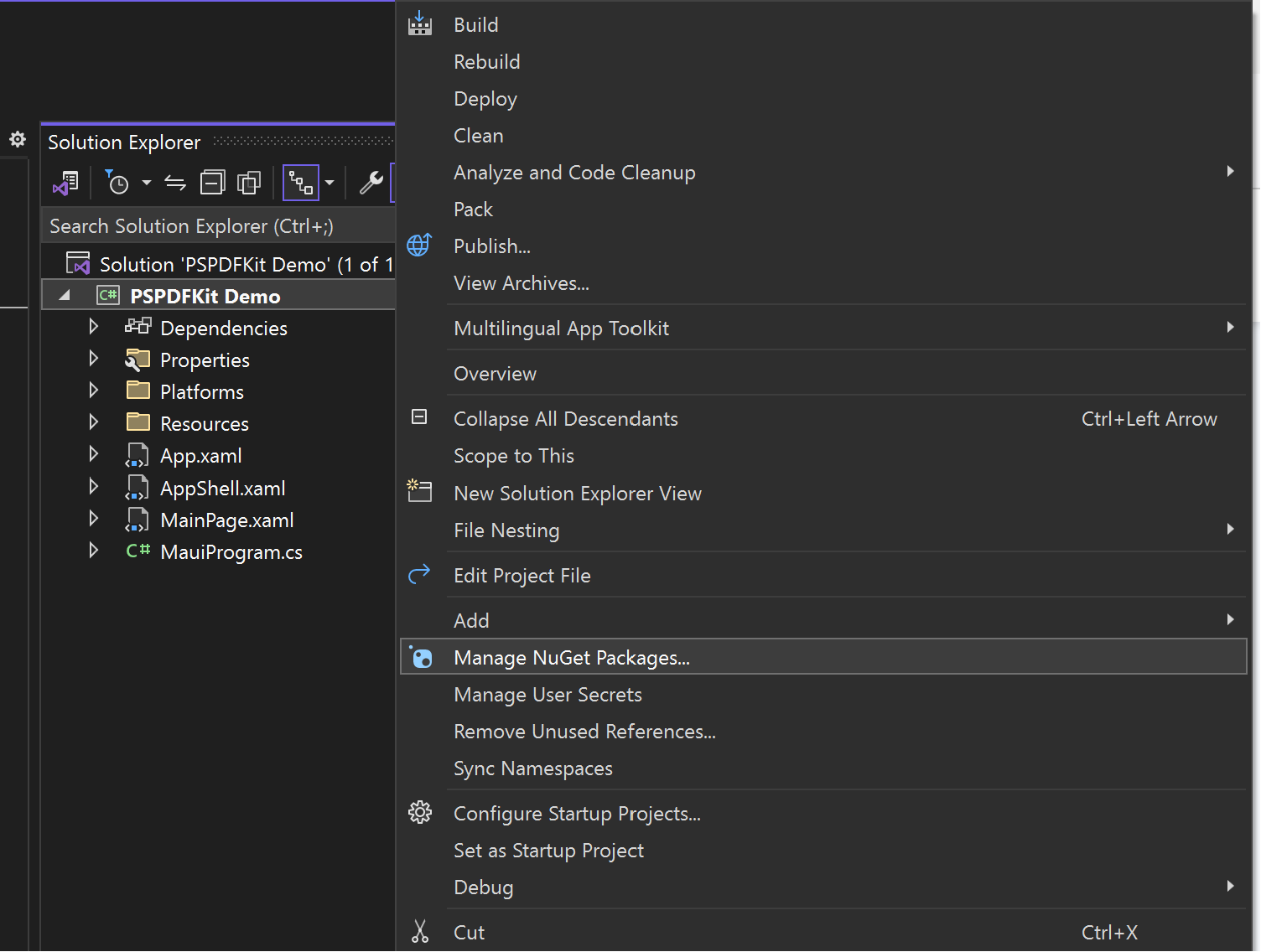 NuGet manager option