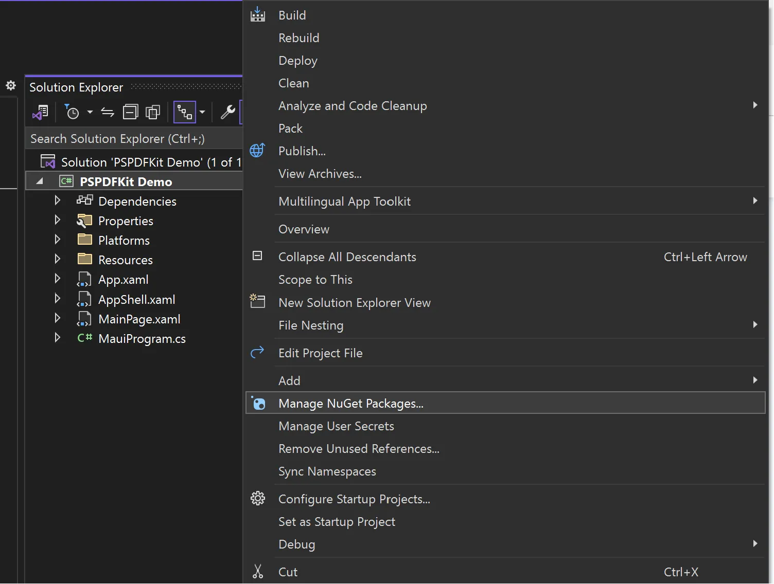 NuGet manager option