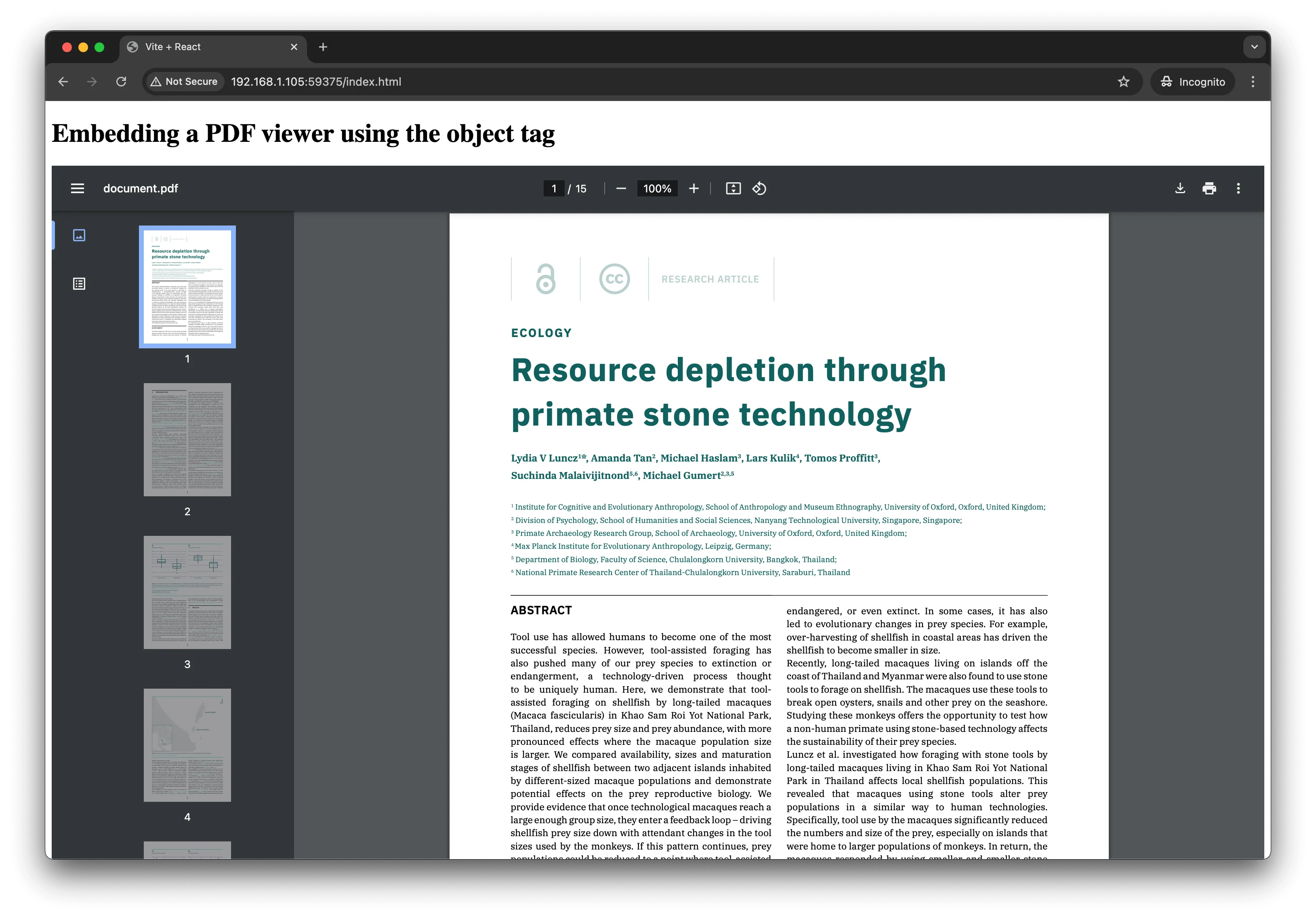 Embedding Using the Object Tag