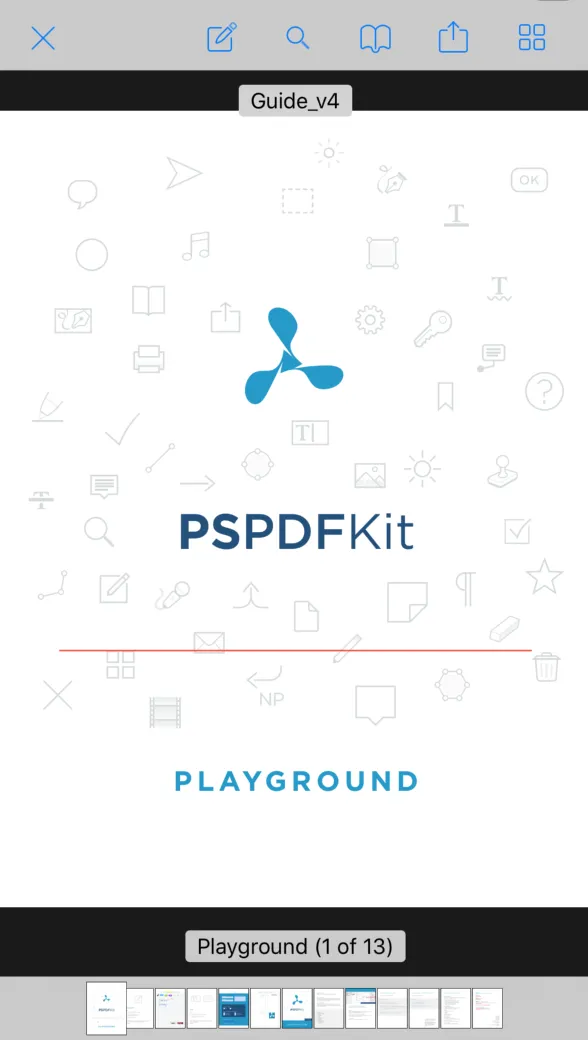 opened-pdf-document-ios