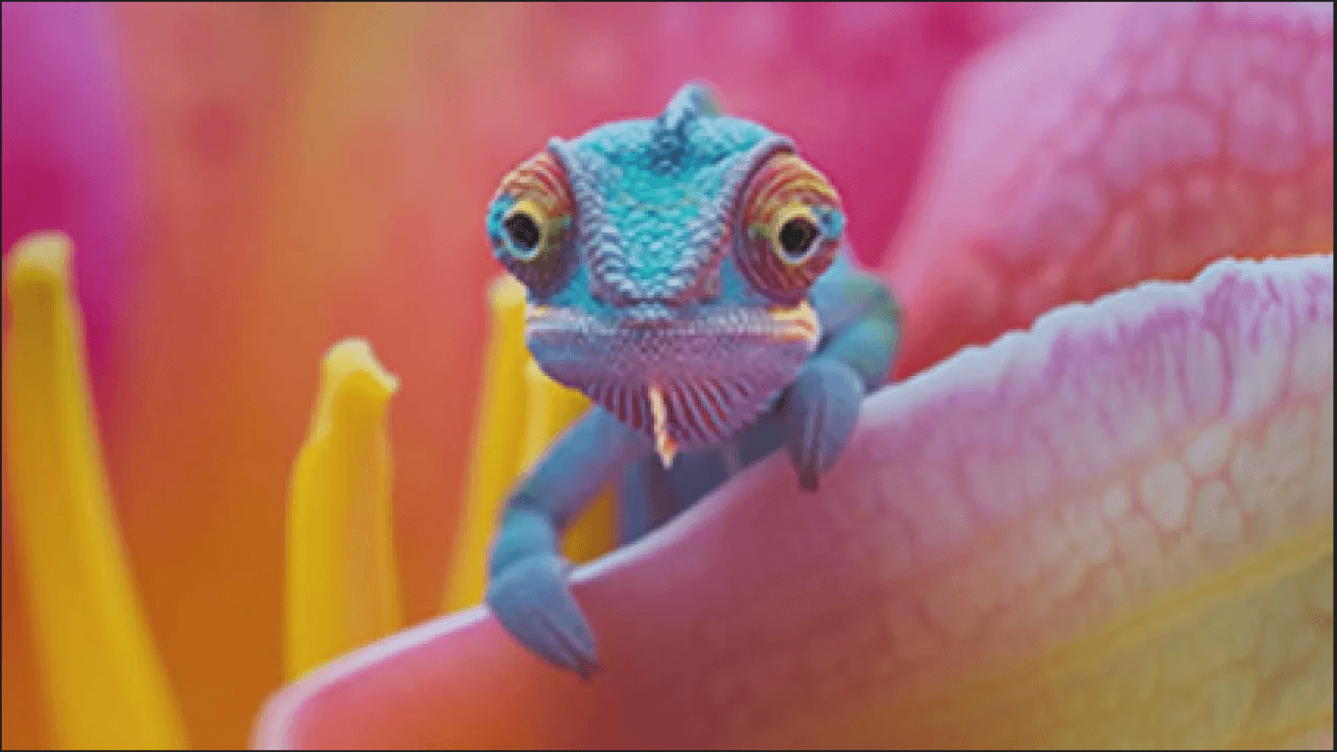 Original image of a blue lizard with vibrant colors