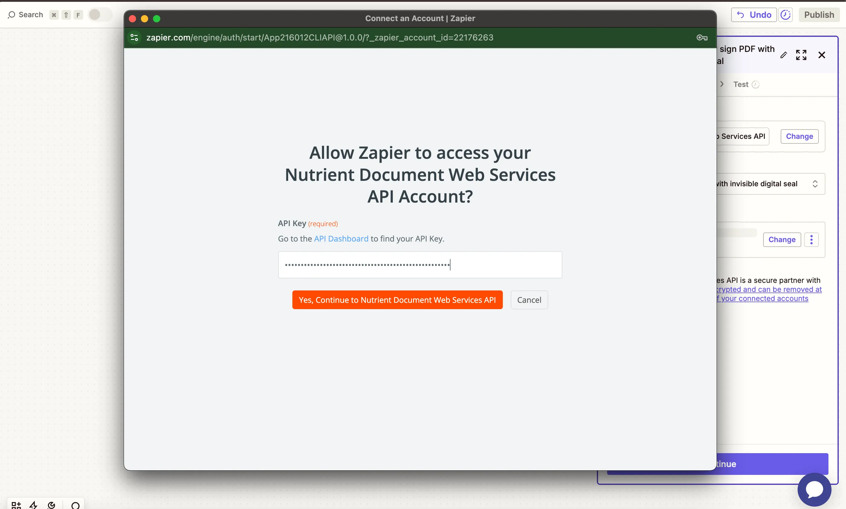 Field to paste API key for Nutrient DWS Processor API connection