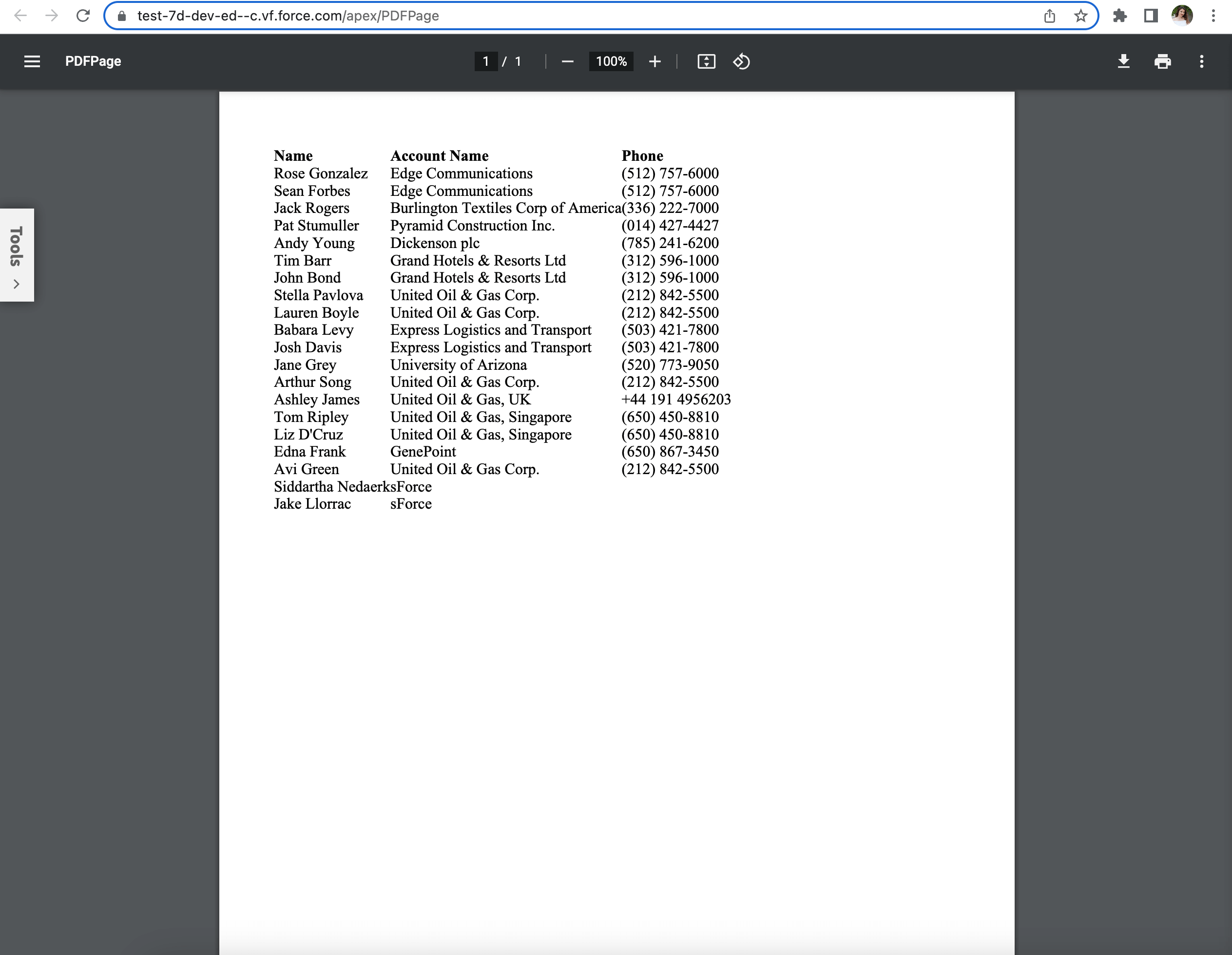 Screenshot showing preview of PDF