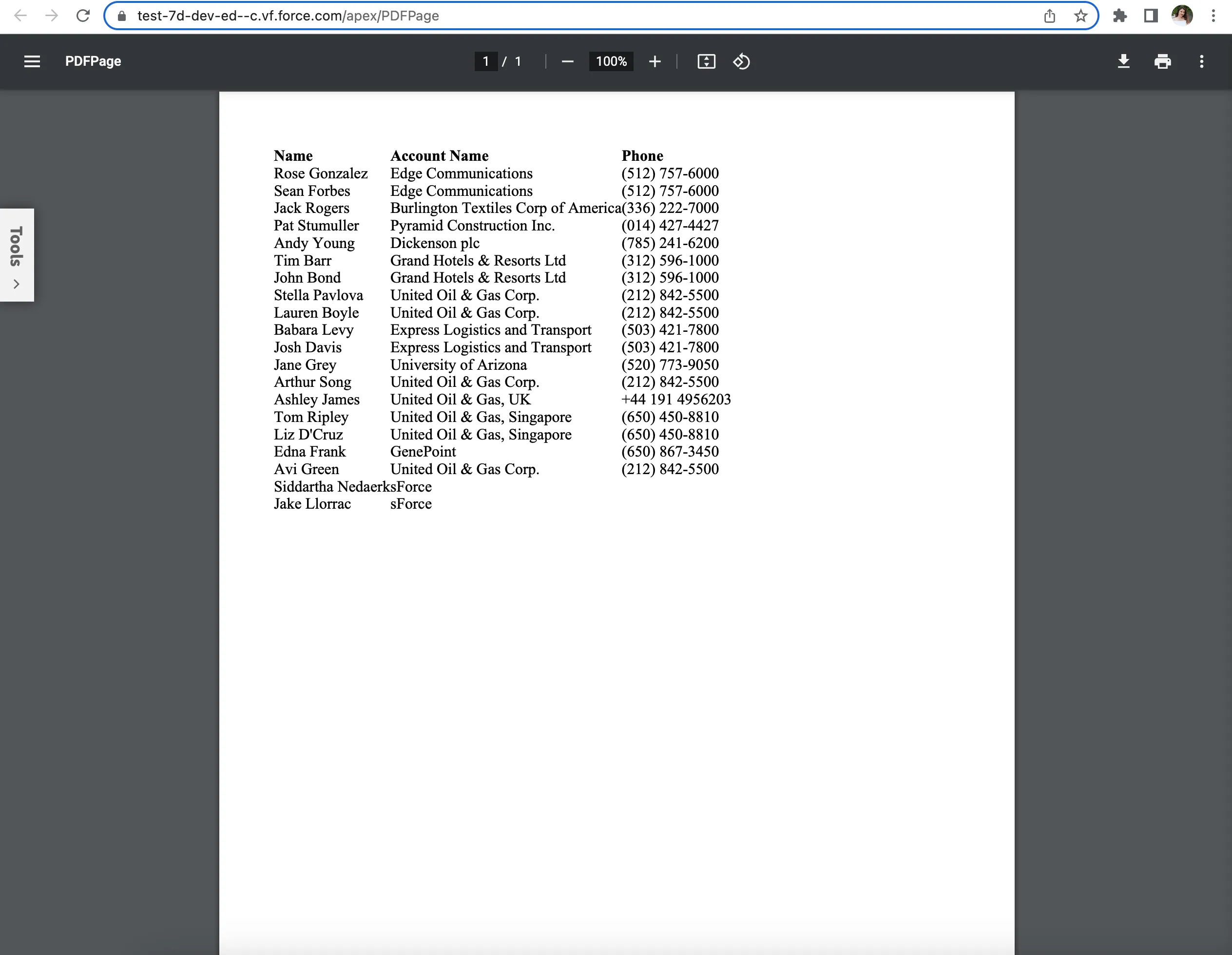 Screenshot showing preview of PDF