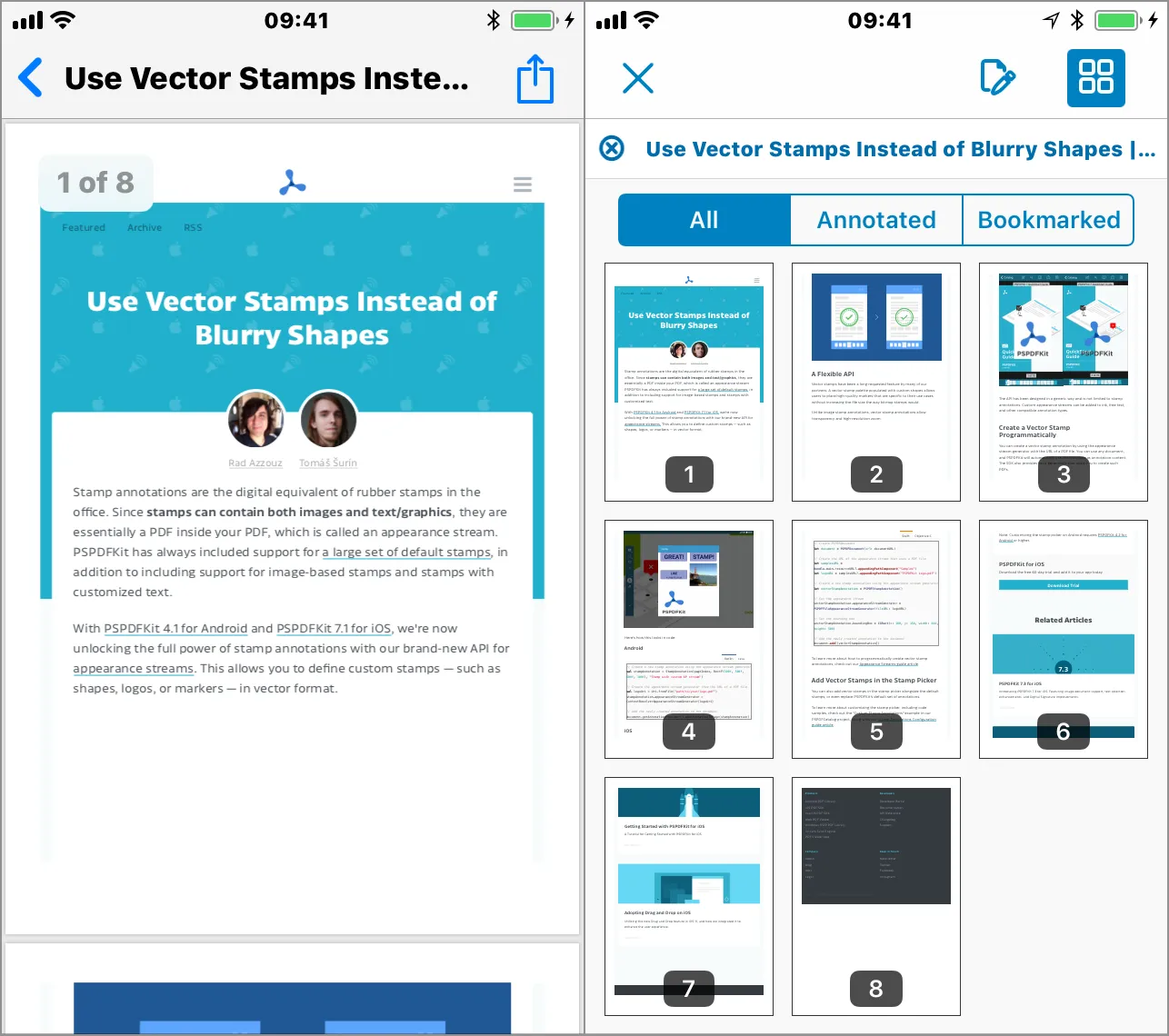Screen shots of generated PDF