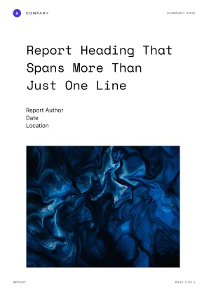 Report