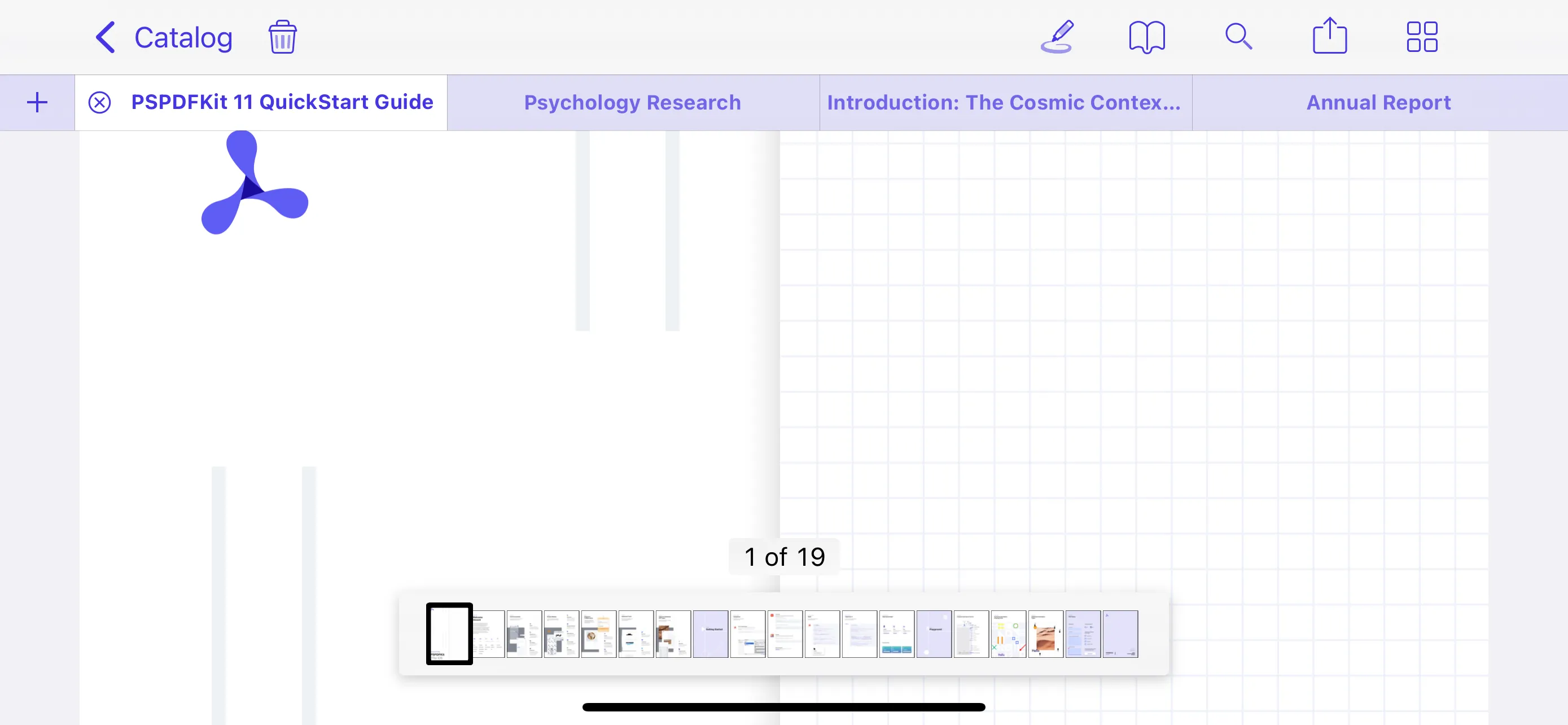 UI of Nutrient iOS framework showing a tabbed bar along the top, which is stylized with purple text and purple shading on tabs
