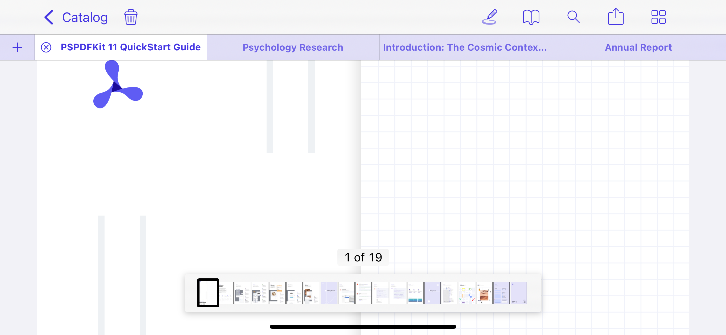 UI of Nutrient iOS framework showing a tabbed bar along the top, which is stylized with purple text and purple shading on tabs