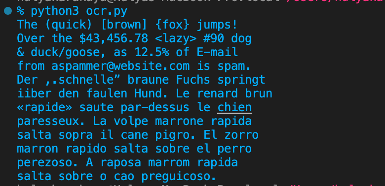 terminal showing the output