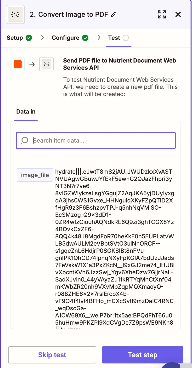 Run a test to verify the image is converted to a PDF