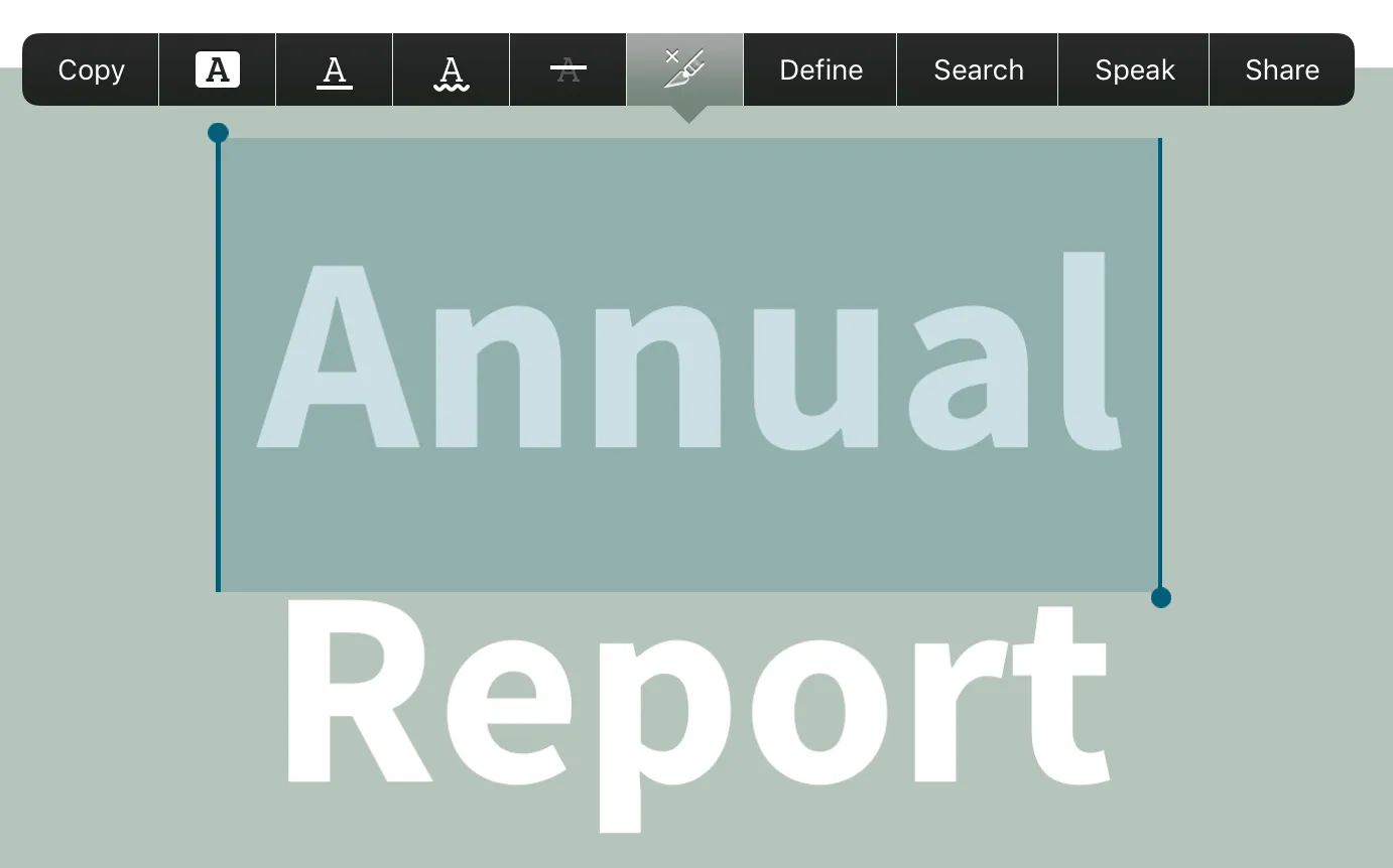 Text Selection Menu Text selection menu