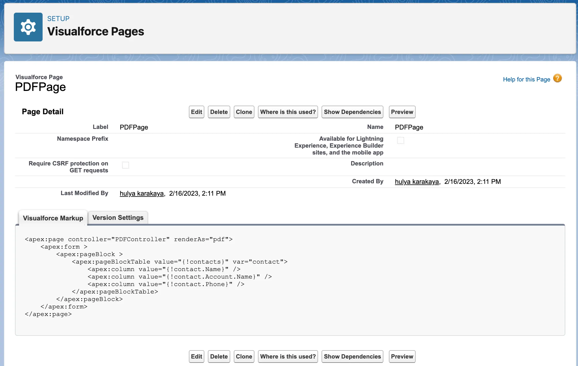 Screenshot showing a preview of the PDF