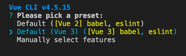 screen showing the vue.js project creation