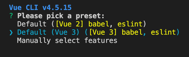 screen showing the vue.js project creation