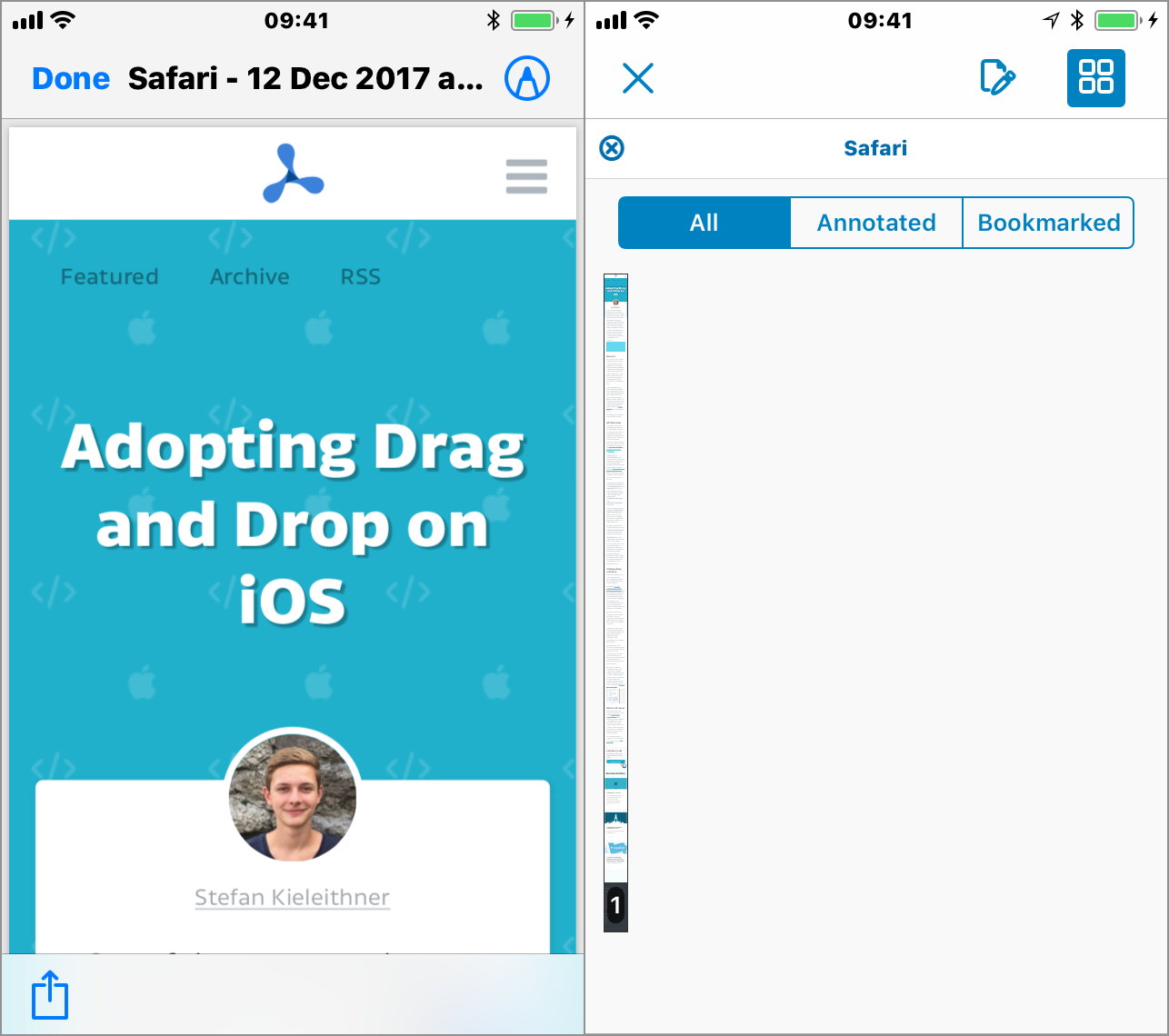 Screen shots of generated PDF