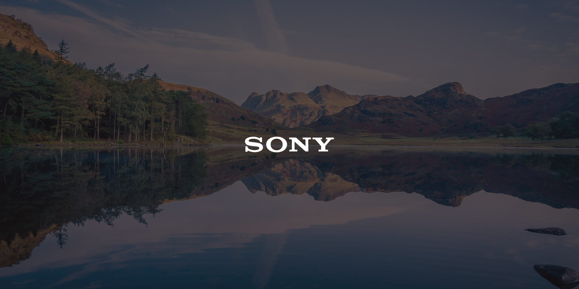 Illustration: How Sony optimized workflows and reporting