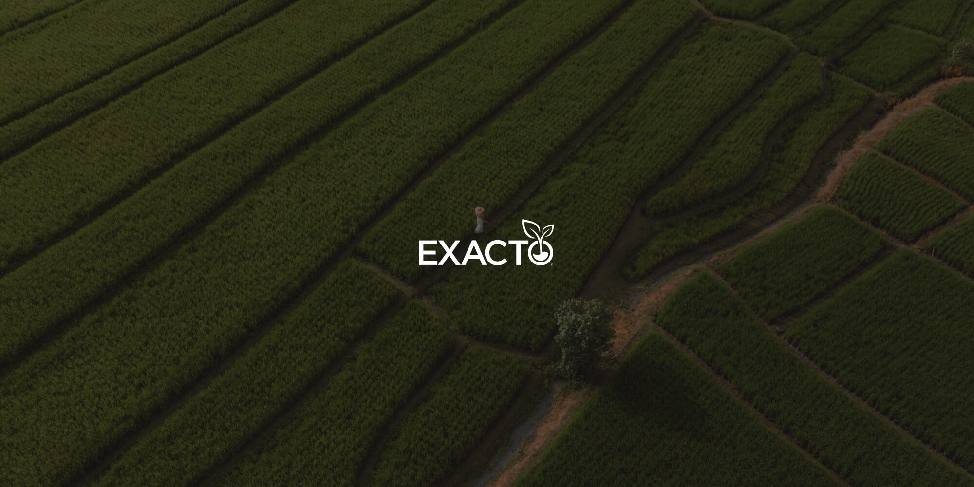 Illustration: Exacto enhances request management and business efficiency using Nutrient Workflow