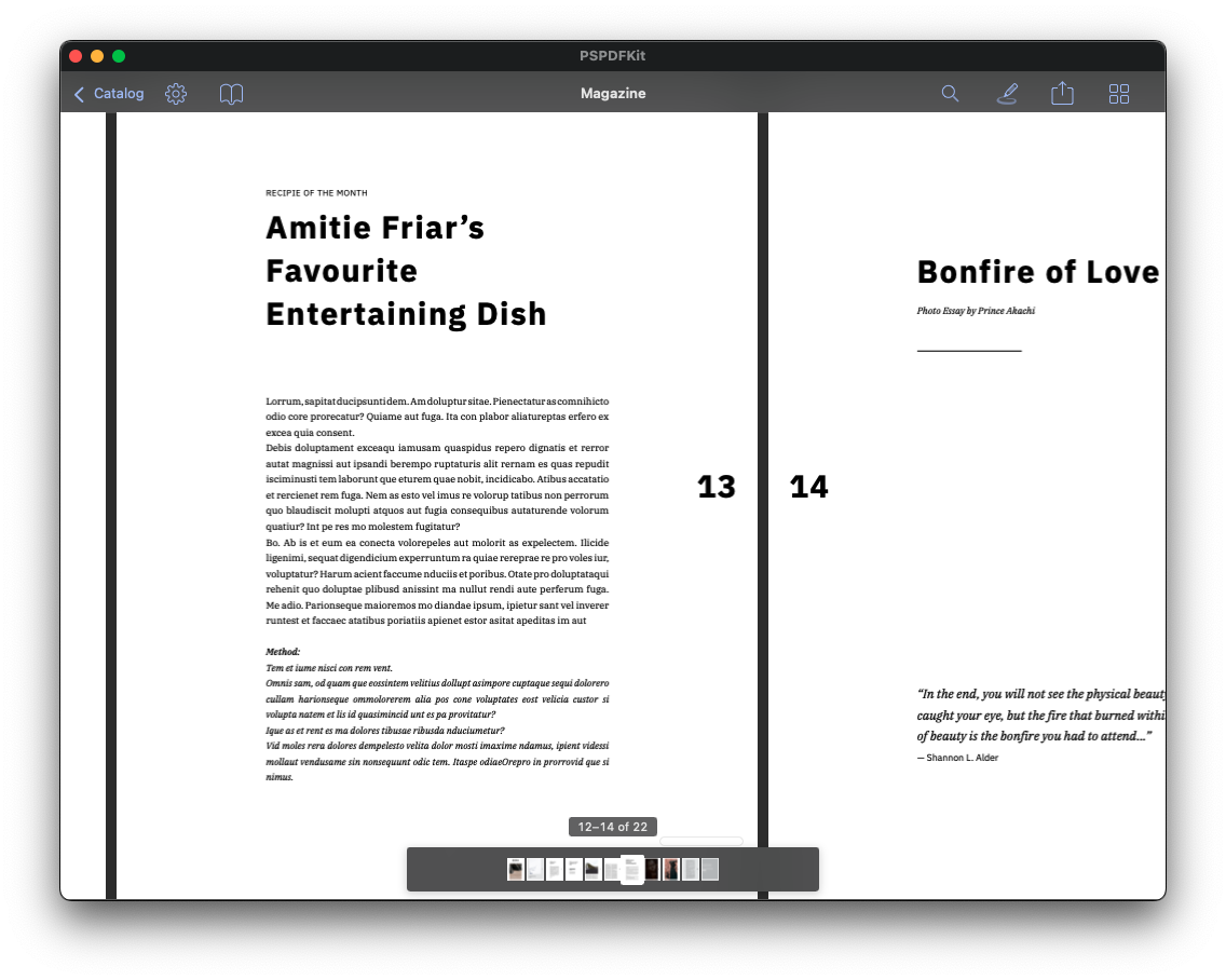 Screenshot of a magazine displayed in PSPDFKit for Mac Catalyst’s document viewer.